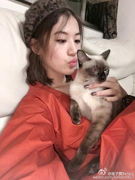 罗子乔