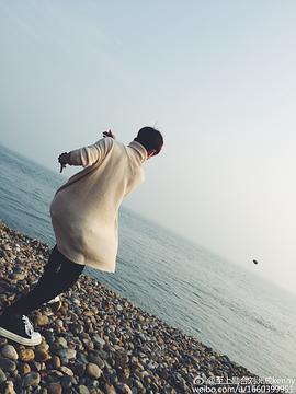 刘洲成