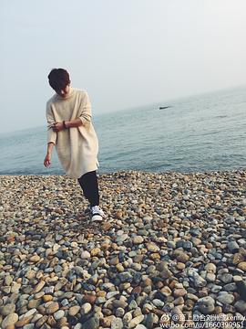 刘洲成