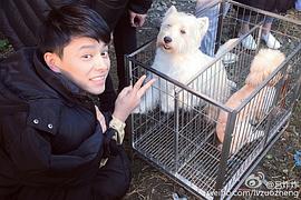 吕炸炸