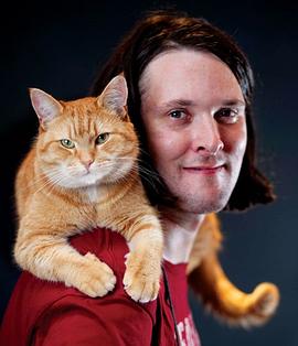 猫鲍勃