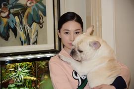贾晓晨