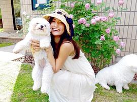 山贺琴子