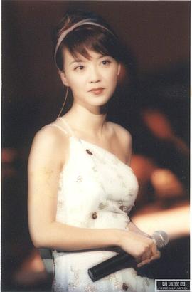 陈慧娴