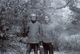 沈从文