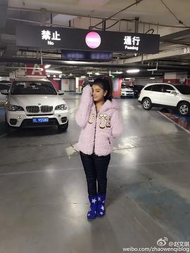 赵文琪