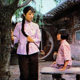 张闽