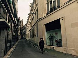 郑荷昙