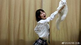 王盈