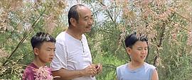 郑伟
