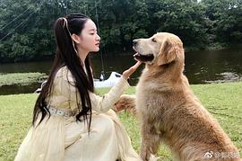 郭晓婷
