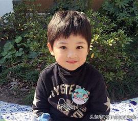 彭子苏