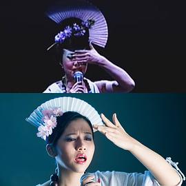 杨偲泳
