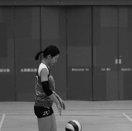 杨偲泳
