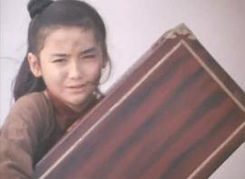 董蓉蓉