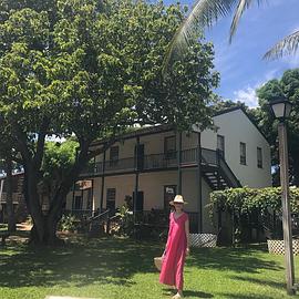桐岛加恋