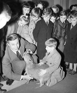 大卫·爱登堡