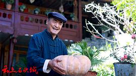 赵晓明