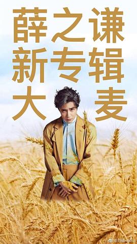 薛之谦