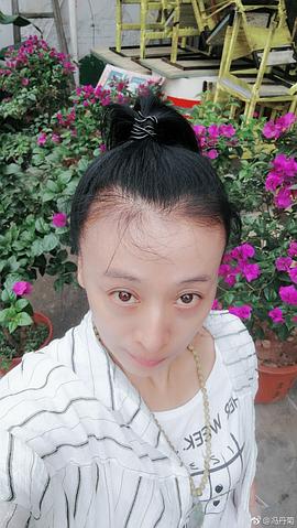 冯丹菊