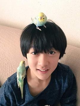 小林飒