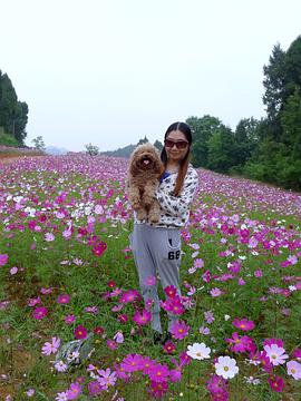 殷洁