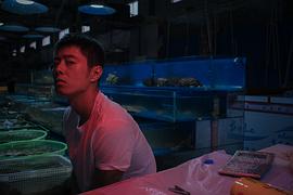 柳明明
