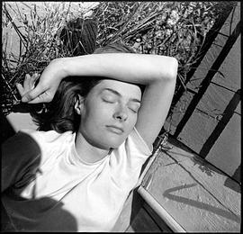 Doe Avedon