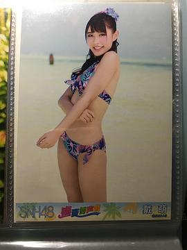 戴萌