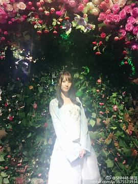 蒋芸