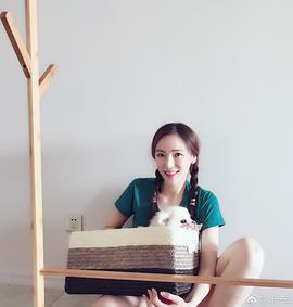 叶一云