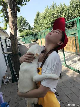 叶一云