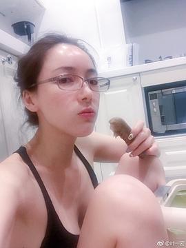 叶一云