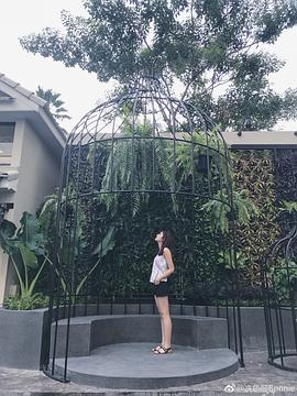 冼色丽
