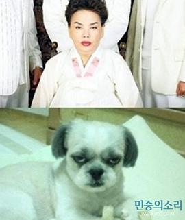金秀美