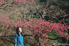 姚子羚