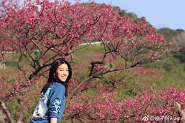 姚子羚