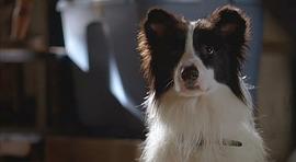 Ryder