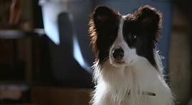 Ryder