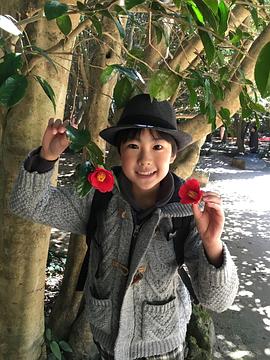 二宫庆多