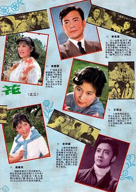 王琴宝