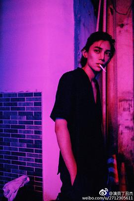 丁禹兮