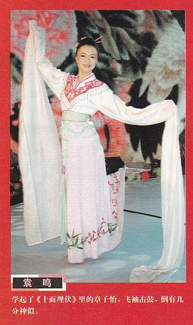 袁鸣
