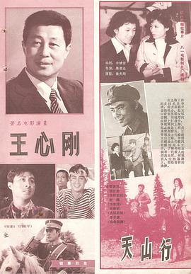王心刚