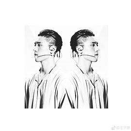王子异