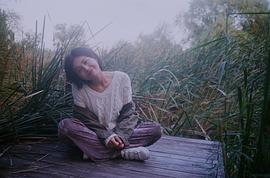 杨小兰