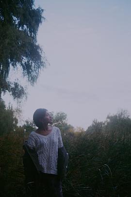 杨小兰