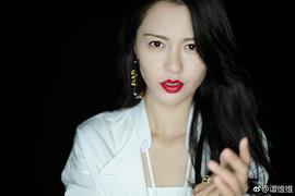 谭维维
