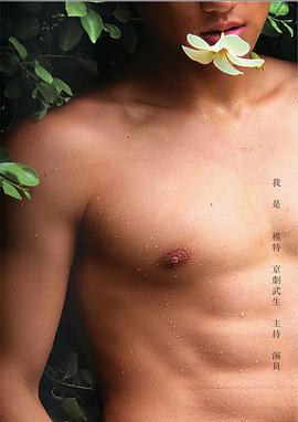 贺飞