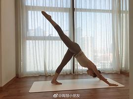 陶慧